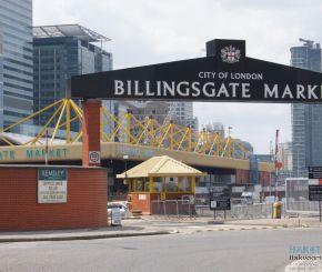 Hakvoort daglicht_zadeldak_Billingsgate (3)